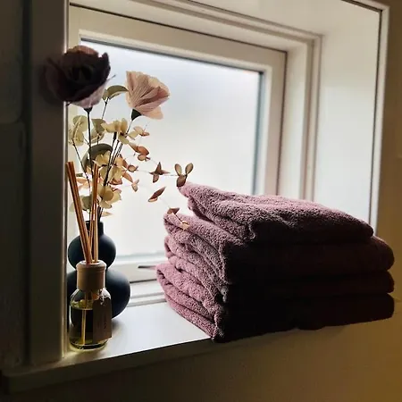 Cozy Flats - S3 Апартаменты Силькеборг